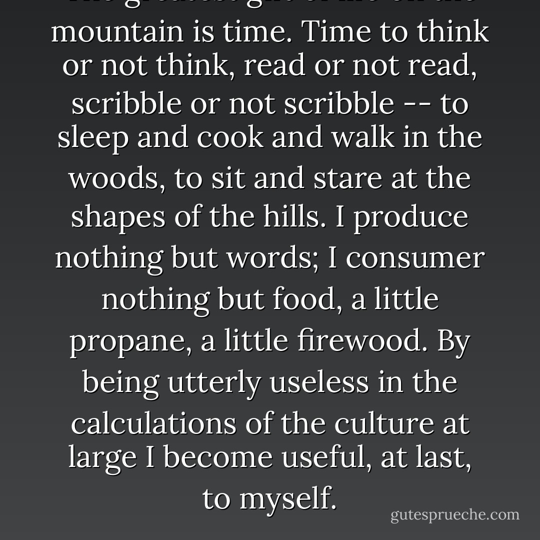 The greatest gift of life on the mountain is time. Time to think or not think, read or not read, scribble or not scribble -- to sleep and cook and walk in the woods, to sit and stare at the shapes of the hills. I produce nothing but words; I consumer nothing but food, a little propane, a little firewood. By being utterly useless in the calculations of the culture at large I become useful, at last, to myself. - Philip Connors