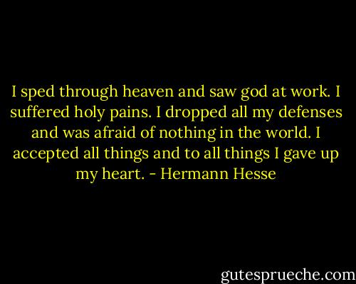 I sped through heaven and saw god at work. I suffered holy pains. I dropped all my defenses and was afraid of nothing in the world. I accepted all things and to all things I gave up my heart. - Hermann Hesse