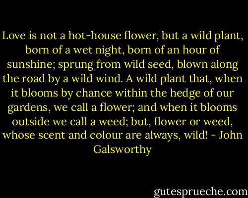 Love is not a hot-house flower, but a wild plant, born of a wet night, born of an hour of sunshine; sprung from wild seed, blown along the road by a wild wind. A wild plant that, when it blooms by chance within the hedge of our gardens, we call a flower; and when it blooms outside we call a weed; but, flower or weed, whose scent and colour are always, wild! - John Galsworthy