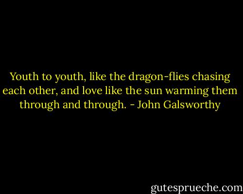 Youth to youth, like the dragon-flies chasing each other, and love like the sun warming them through and through. - John Galsworthy
