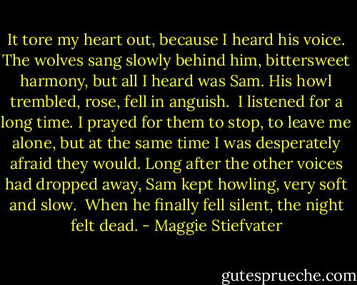 It tore my heart out, because I heard his voice. The wolves sang slowly behind him, bittersweet harmony, but all I heard was Sam. His howl trembled, rose, fell in anguish.<br /><br />I listened for a long time. I prayed for them to stop, to leave me alone, but at the same time I was desperately afraid they would. Long after the other voices had dropped away, Sam kept howling, very soft and slow.<br /><br />When he finally fell silent, the night felt dead. - Maggie Stiefvater