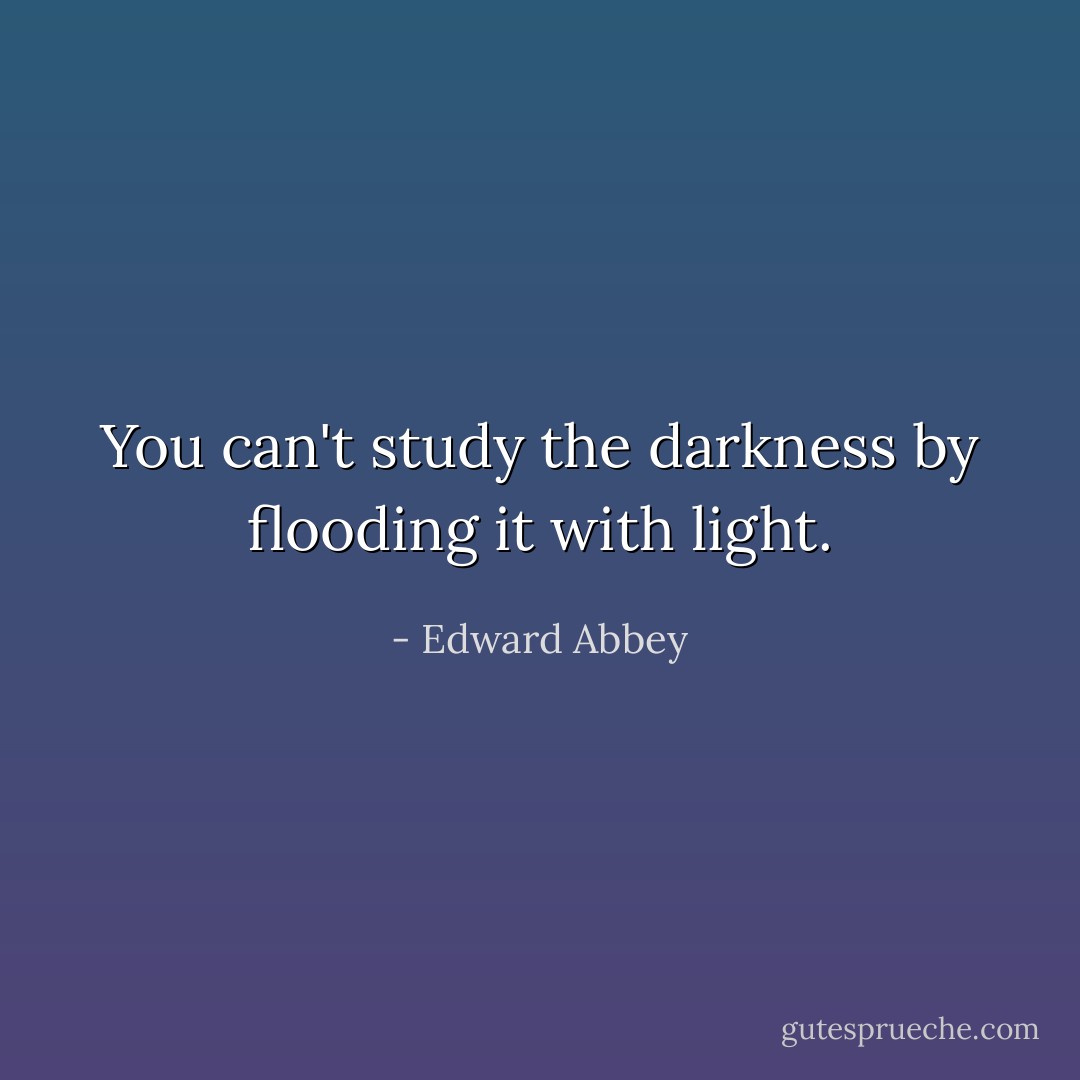 You can't study the darkness by flooding it with light. - Edward Abbey