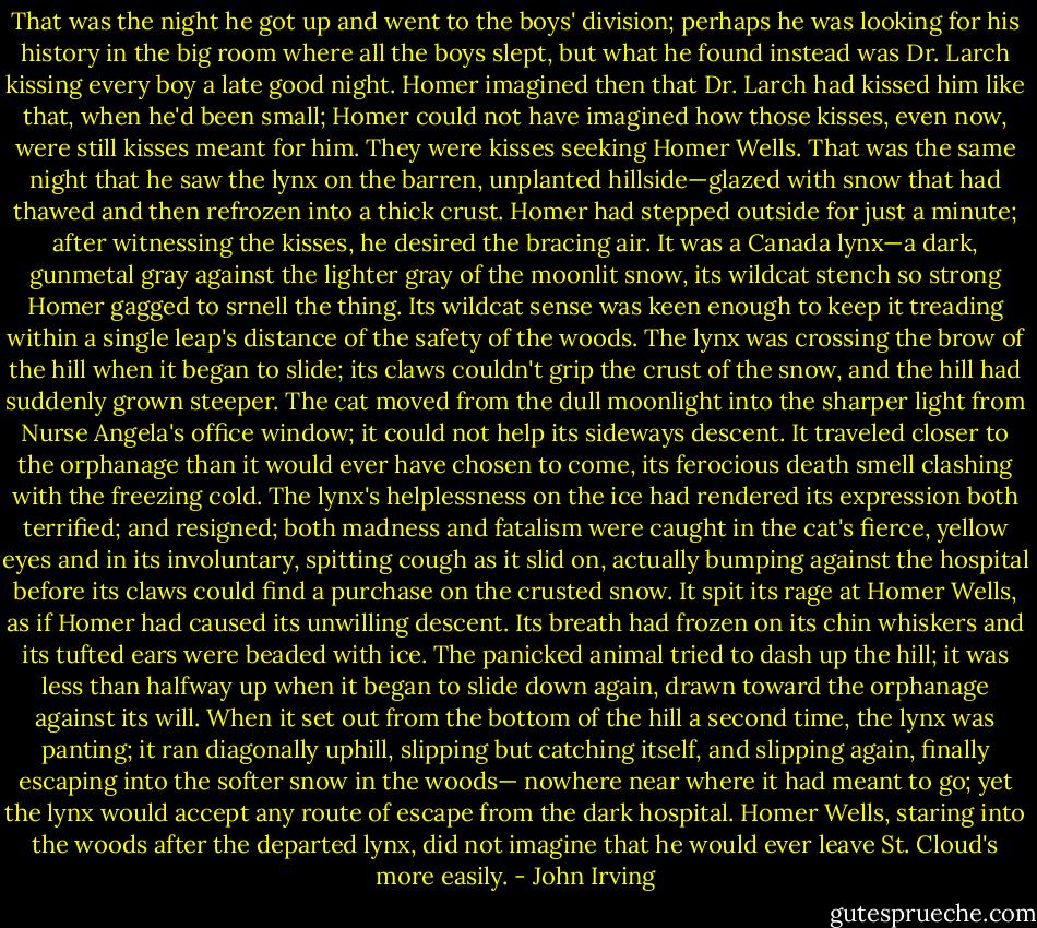 That was the night he got up and went to the boys' division; perhaps he was looking for his history in the big room where all the boys slept, but what he found instead was Dr. Larch kissing every boy a late good night. Homer imagined then that Dr. Larch had kissed him like that, when he'd been small; Homer could not have imagined how those kisses, even now, were still kisses meant for him. They were kisses seeking Homer Wells.<br />That was the same night that he saw the lynx on the barren, unplanted hillside—glazed with snow that had thawed and then refrozen into a thick crust. Homer had stepped outside for just a minute; after witnessing the kisses, he desired the bracing air. It was a Canada lynx—a dark, gunmetal gray against the lighter gray of the moonlit snow, its wildcat stench so strong Homer gagged to srnell the thing. Its wildcat sense was keen enough to keep it treading within a single leap's distance of the safety of the woods. The lynx was crossing the brow of the hill when it began to slide; its claws couldn't grip the crust of the snow, and the hill had suddenly grown steeper. The cat moved from the dull moonlight into the sharper light from Nurse Angela's office window; it could not help its sideways descent. It traveled closer to the orphanage than it would ever have chosen to come, its ferocious death smell clashing with the freezing cold. The lynx's helplessness on the ice had rendered its expression both terrified; and resigned; both madness and fatalism were caught in the cat's fierce, yellow eyes and in its involuntary, spitting cough as it slid on, actually bumping against the hospital before its claws could find a purchase on the crusted snow. It spit its rage at Homer Wells, as if Homer had caused its unwilling descent.<br />Its breath had frozen on its chin whiskers and its tufted ears were beaded with ice. The panicked animal tried to dash up the hill; it was less than halfway up when it began to slide down again, drawn toward the orphanage against its will. When it set out from the bottom of the hill a second time, the lynx was panting; it ran diagonally uphill, slipping but catching itself, and slipping again, finally escaping into the softer snow in the woods— nowhere near where it had meant to go; yet the lynx would accept any route of escape from the dark hospital.<br />Homer Wells, staring into the woods after the departed lynx, did not imagine that he would ever leave St. Cloud's more easily. - John Irving