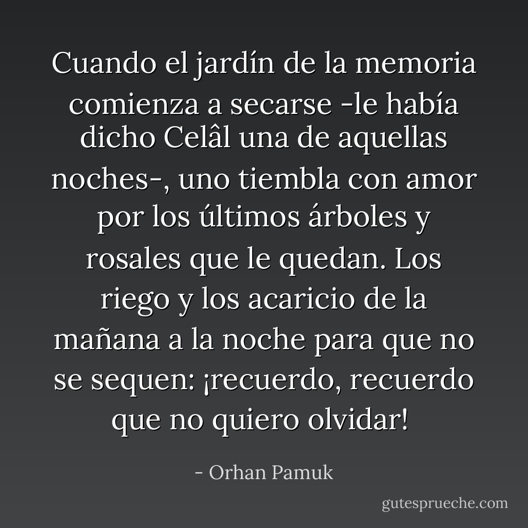 Cuando el jardín de la memoria comienza a secarse -le había dicho Celâl una de aquellas noches-, uno tiembla con amor por los últimos árboles y rosales que le quedan. Los riego y los acaricio de la mañana a la noche para que no se sequen: ¡recuerdo, recuerdo que no quiero olvidar!  - Orhan Pamuk