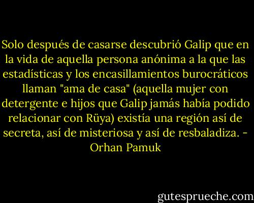 Solo después de casarse descubrió Galip que en la vida de aquella persona anónima a la que las estadísticas y los encasillamientos burocráticos llaman "ama de casa" (aquella mujer con detergente e hijos que Galip jamás había podido relacionar con Rüya) existía una región así de secreta, así de misteriosa y así de resbaladiza. - Orhan Pamuk
