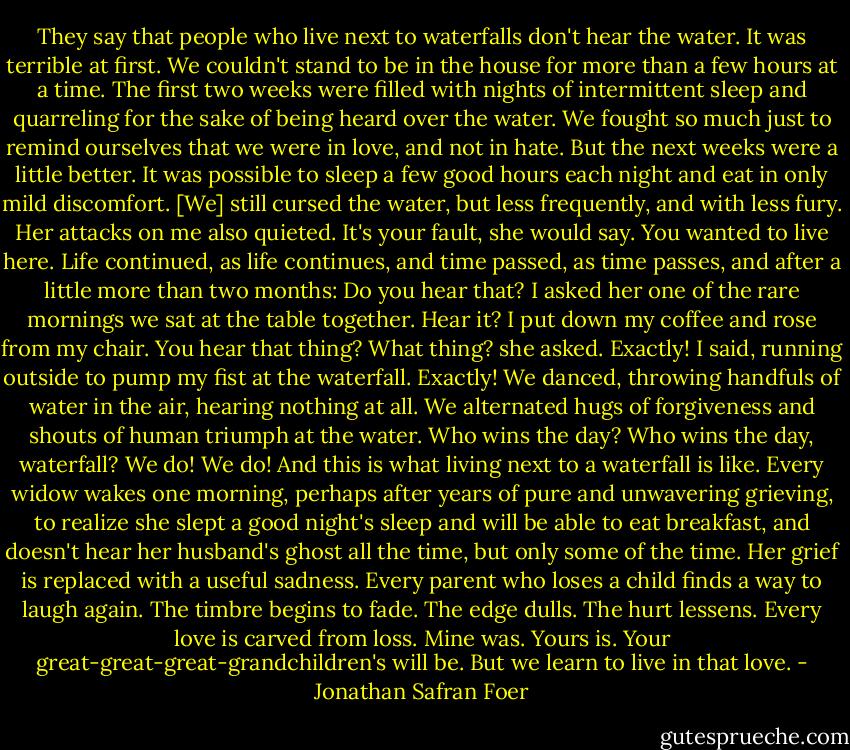 They say that people who live next to waterfalls don't hear the water. It was terrible at first. We couldn't stand to be in the house for more than a few hours at a time. The first two weeks were filled with nights of intermittent sleep and quarreling for the sake of being heard over the water. We fought so much just to remind ourselves that we were in love, and not in hate. But the next weeks were a little better. It was possible to sleep a few good hours each night and eat in only mild discomfort. [We] still cursed the water, but less frequently, and with less fury. Her attacks on me also quieted. It's your fault, she would say. You wanted to live here. Life continued, as life continues, and time passed, as time passes, and after a little more than two months: Do you hear that? I asked her one of the rare mornings we sat at the table together. Hear it? I put down my coffee and rose from my chair. You hear that thing? What thing? she asked. Exactly! I said, running outside to pump my fist at the waterfall. Exactly! We danced, throwing handfuls of water in the air, hearing nothing at all. We alternated hugs of forgiveness and shouts of human triumph at the water. Who wins the day? Who wins the day, waterfall? We do! We do! And this is what living next to a waterfall is like. Every widow wakes one morning, perhaps after years of pure and unwavering grieving, to realize she slept a good night's sleep and will be able to eat breakfast, and doesn't hear her husband's ghost all the time, but only some of the time. Her grief is replaced with a useful sadness. Every parent who loses a child finds a way to laugh again. The timbre begins to fade. The edge dulls. The hurt lessens. Every love is carved from loss. Mine was. Yours is. Your great-great-great-grandchildren's will be. But we learn to live in that love. - Jonathan Safran Foer