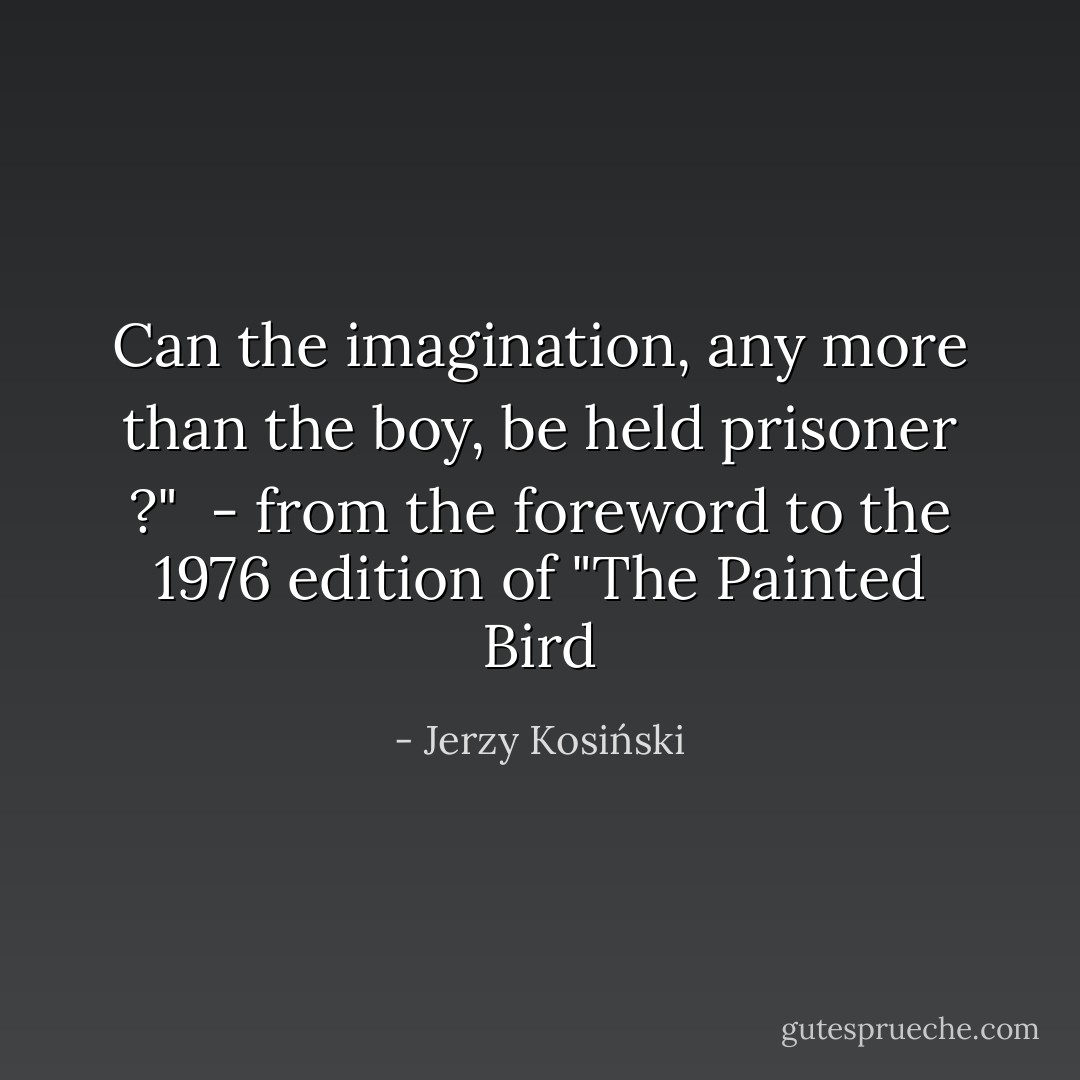 Can the imagination, any more than the boy, be held prisoner ?"<br /><br />- from the foreword to the 1976 edition of "The Painted Bird - Jerzy Kosiński