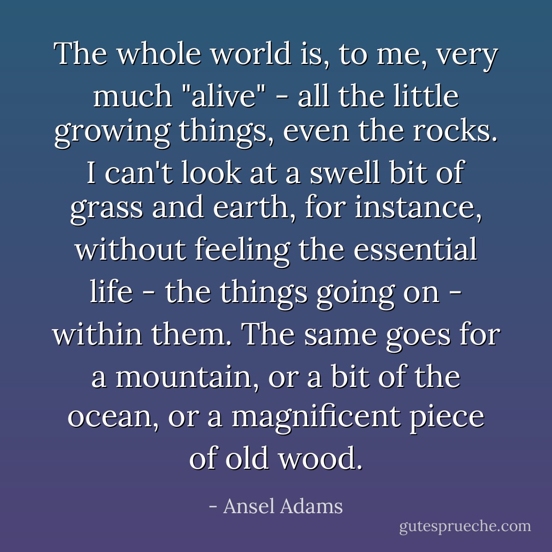The whole world is, to me, very much "alive" - all the little growing things, even the rocks. I can't look at a swell bit of grass and earth, for instance, without feeling the essential life - the things going on - within them. The same goes for a mountain, or a bit of the ocean, or a magnificent piece of old wood. - Ansel Adams