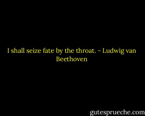 I shall seize fate by the throat. - Ludwig van Beethoven