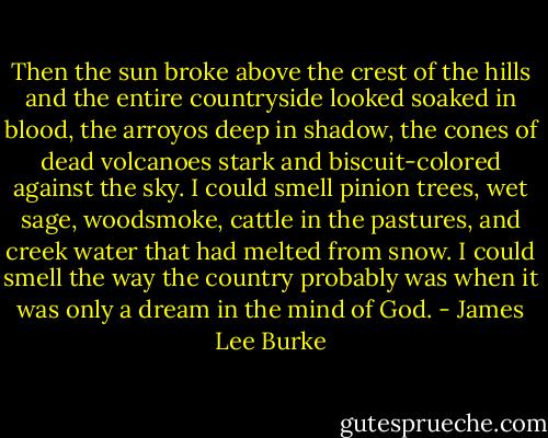 Then the sun broke above the crest of the hills and the entire countryside looked soaked in blood, the arroyos deep in shadow, the cones of dead volcanoes stark and biscuit-colored against the sky. I could smell pinion trees, wet sage, woodsmoke, cattle in the pastures, and creek water that had melted from snow. I could smell the way the country probably was when it was only a dream in the mind of God. - James Lee Burke