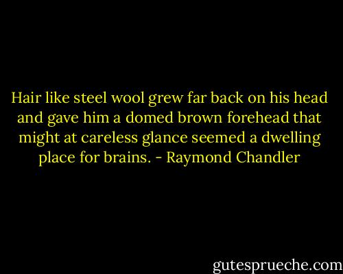 Hair like steel wool grew far back on his head and gave him a domed brown forehead that might at careless glance seemed a dwelling place for brains. - Raymond Chandler