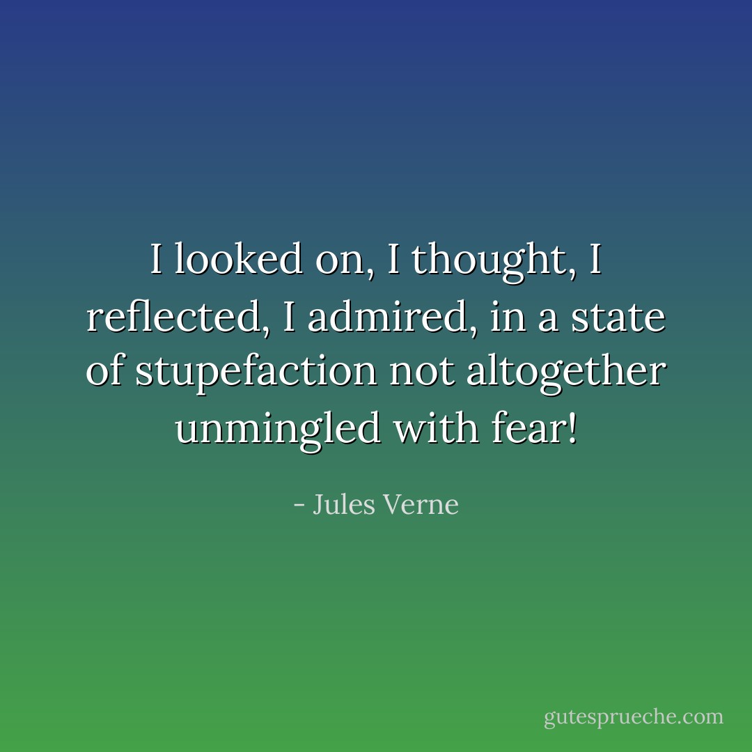 I looked on, I thought, I reflected, I admired, in a state of stupefaction not altogether unmingled with fear! - Jules Verne