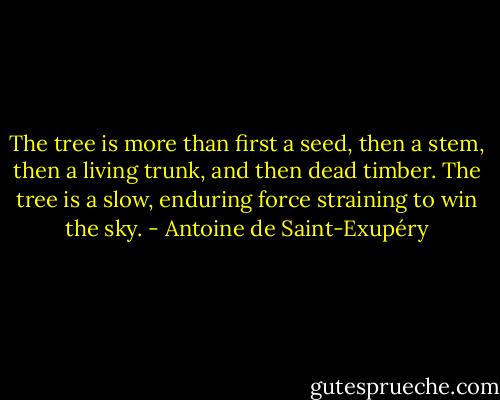 The tree is more than first a seed, then a stem, then a living trunk, and then dead timber. The tree is a slow, enduring force straining to win the sky. - Antoine de Saint-Exupéry