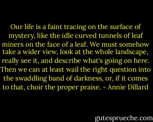 Our life is a faint tracing on the surface of mystery, like the idle curved tunnels of leaf miners on the face of a leaf. We must somehow take a wider view, look at the whole landscape, really see it, and describe what's going on here. Then we can at least wail the right question into the swaddling band of darkness, or, if it comes to that, choir the proper praise. - Annie Dillard