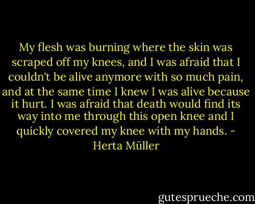 My flesh was burning where the skin was scraped off my knees, and I was afraid that I couldn't be alive anymore with so much pain, and at the same time I knew I was alive because it hurt. I was afraid that death would find its way into me through this open knee and I quickly covered my knee with my hands. - Herta Müller