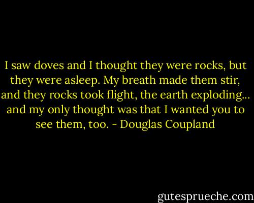 I saw doves and I thought they were rocks, but they were asleep. My breath made them stir, and they rocks took flight, the earth exploding... and my only thought was that I wanted you to see them, too. - Douglas Coupland