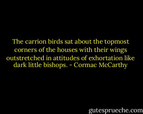 The carrion birds sat about the topmost corners of the houses with their wings outstretched in attitudes of exhortation like dark little bishops. - Cormac McCarthy