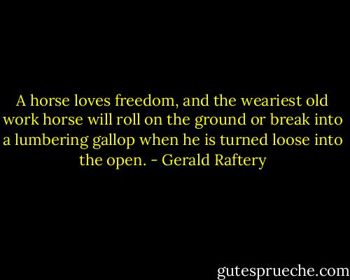 A horse loves freedom, and the weariest old work horse will roll on the ground or break into a lumbering gallop when he is turned loose into the open. - Gerald Raftery
