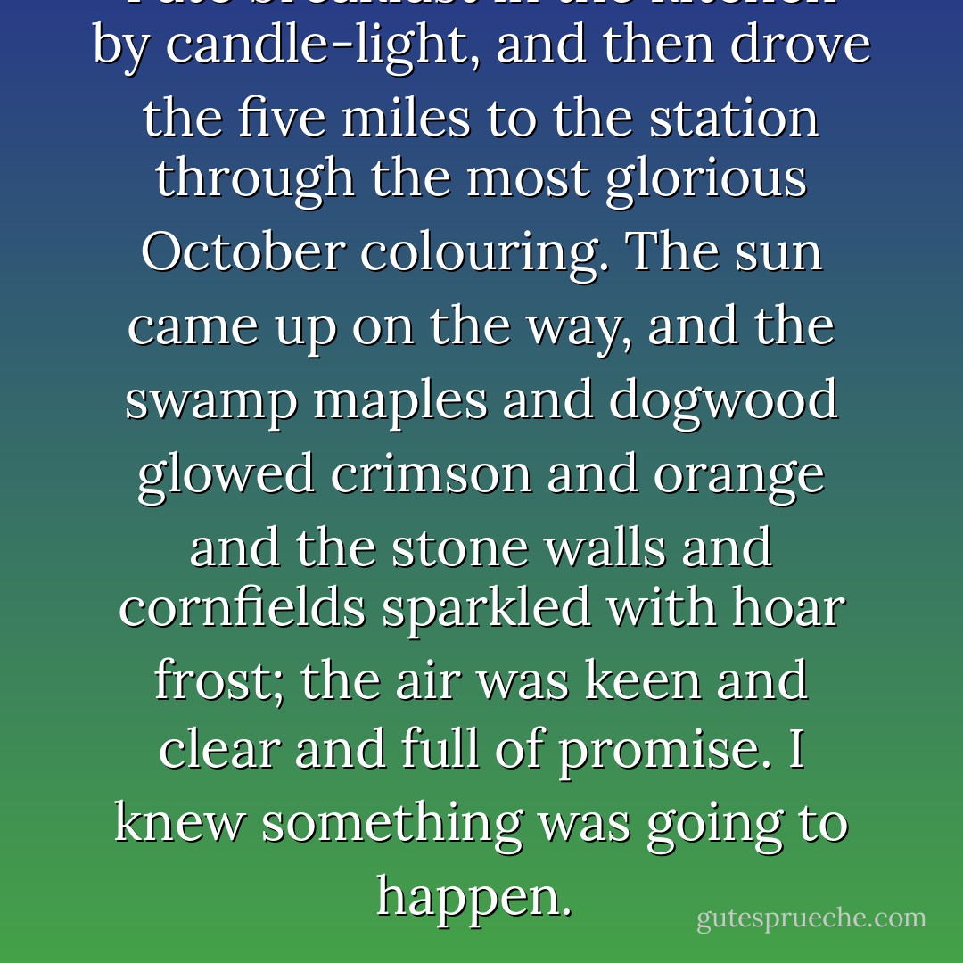 I ate breakfast in the kitchen by candle-light, and then drove the five miles to the station through the most glorious October colouring. The sun came up on the way, and the swamp maples and dogwood glowed crimson and orange and the stone walls and cornfields sparkled with hoar frost; the air was keen and clear and full of promise. I <em>knew</em> something was going to happen.  - Jean Webster