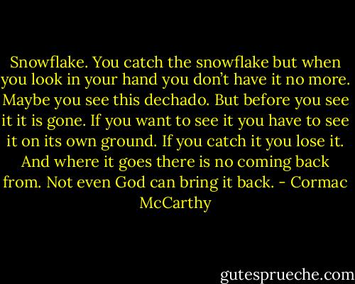 Snowflake. You catch the snowflake but when you look in your hand you don’t have it no more. Maybe you see this dechado. But before you see it it is gone. If you want to see it you have to see it on its own ground. If you catch it you lose it. And where it goes there is no coming back from. Not even God can bring it back. - Cormac McCarthy