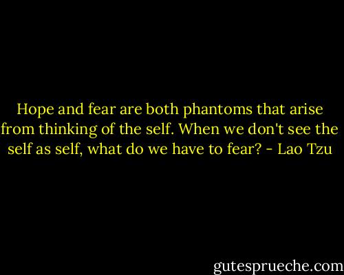 Hope and fear are both phantoms that arise from thinking of the self. When we don't see the self as self, what do we have to fear? - Lao Tzu