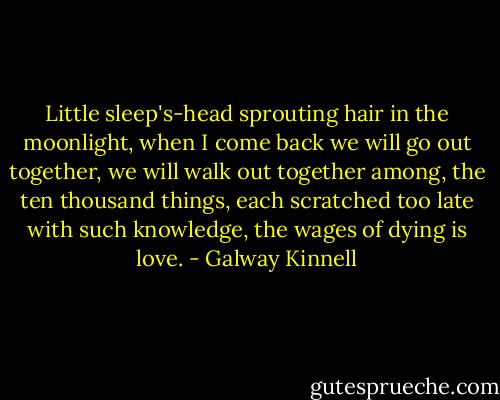 Little sleep's-head sprouting hair in the moonlight,<br />when I come back<br />we will go out together,<br />we will walk out together among,<br />the ten thousand things,<br />each scratched too late with such knowledge, the wages of dying is love. - Galway Kinnell
