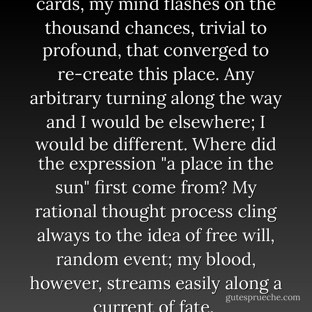 Like fanning through a deck of cards, my mind flashes on the thousand chances, trivial to profound, that converged to re-create this place. Any arbitrary turning along the way and I would be elsewhere; I would be different. Where did the expression "a place in the sun" first come from? My rational thought process cling always to the idea of free will, random event; my blood, however, streams easily along a current of fate.  - Frances Mayes