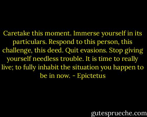 Caretake this moment. Immerse yourself in its particulars. Respond to this person, this challenge, this deed. Quit evasions. Stop giving yourself needless trouble. It is time to really live; to fully inhabit the situation you happen to be in now. - Epictetus