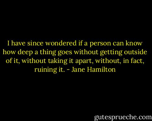I have since wondered if a person can know how deep a thing goes without getting outside of it, without taking it apart, without, in fact, ruining it. - Jane Hamilton
