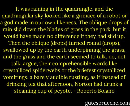 It was raining in the quadrangle, and the quadrangular sky looked like a grimace of a robot or a god made in our own likeness. The oblique drops of rain slid down the blades of grass in the park, but it would have made no difference if they had slid up. Then the oblique (drops) turned round (drops), swallowed up by the earth underpinning the grass, and the grass and the earth seemed to talk, no, not talk, argue, their comprehensible words like crystallized spiderwebs or the briefest crystallized vomitings, a barely audible rustling, as if instead of drinking tea that afternoon, Norton had drunk a steaming cup of peyote. - Roberto Bolaño