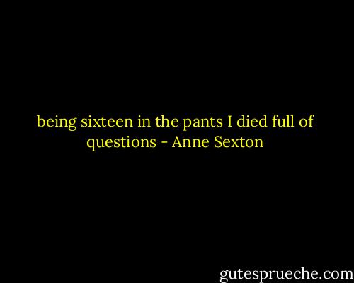 being sixteen in the pants I died full of questions - Anne Sexton