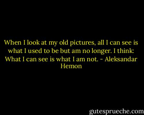 When I look at my old pictures, all I can see is what I used to be but am no longer. I think: What I can see is what I am not. - Aleksandar Hemon