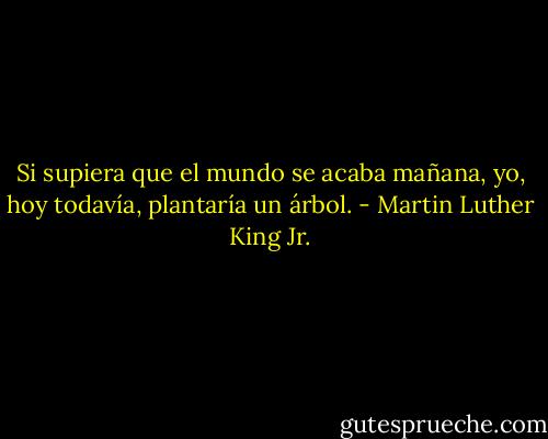 Si supiera que el mundo se acaba mañana,<br />yo, hoy todavía, plantaría un árbol. - Martin Luther King Jr.