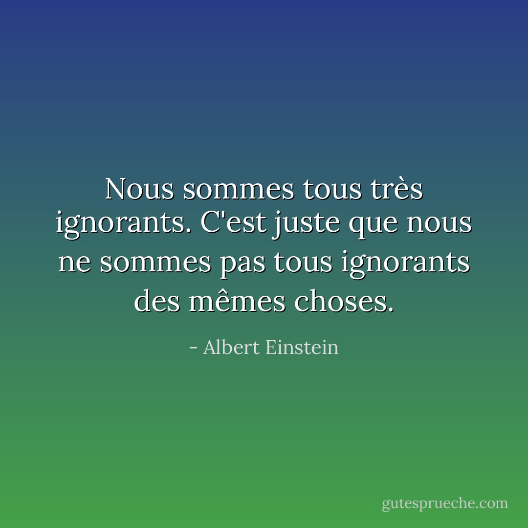 Nous sommes tous très ignorants. C'est juste que nous ne sommes pas tous ignorants des mêmes choses. - Albert Einstein