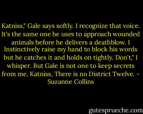Katniss," Gale says softly.<br />I recognize that voice. It's the same one he uses to approach wounded animals before he delivers a deathblow. I Instinctively raise my hand to block his words but he catches it and holds on tightly.<br />Don't," I whisper.<br />But Gale is not one to keep secrets from me.<br />Katniss, There is no District Twelve. - Suzanne Collins
