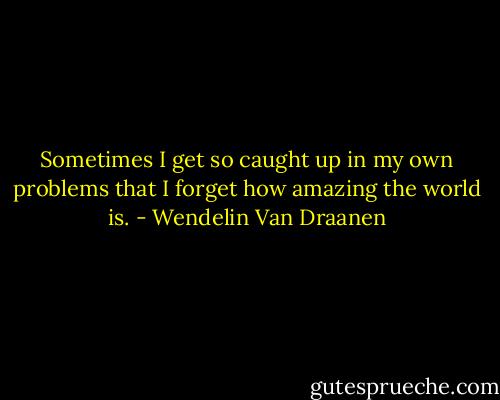 Sometimes I get so caught up in my own problems that I forget how amazing the world is. - Wendelin Van Draanen