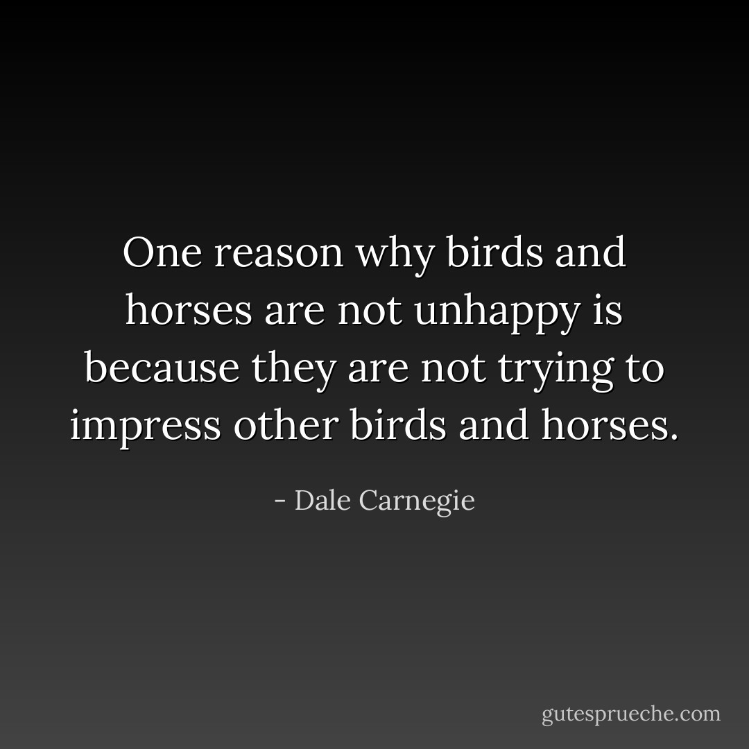 One reason why birds and horses are not unhappy is because they are not trying to impress other birds and horses. - Dale Carnegie