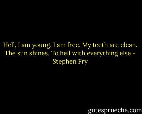 Hell, I am young. I am free. My teeth are clean. The sun shines. To hell with everything else - Stephen Fry