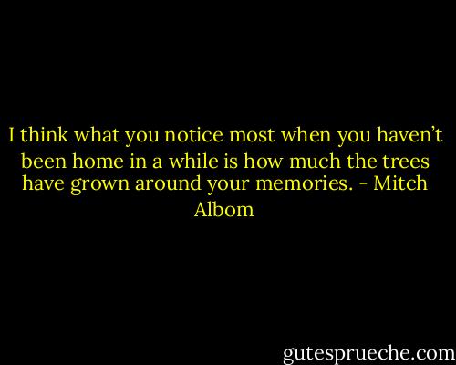 I think what you notice most when you haven’t been home in a while is how much the trees have grown around your memories. - Mitch Albom