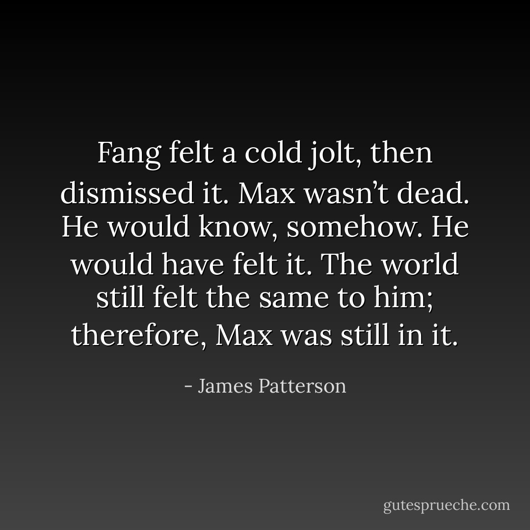 Fang felt a cold jolt, then dismissed it. Max wasn’t dead. He would know, somehow. He would have felt it. The world still felt the same to him; therefore, Max was still in it. - James Patterson