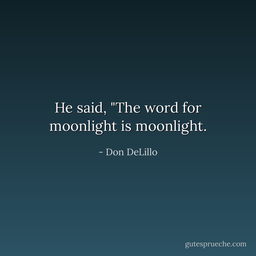 He said, "The word for moonlight is moonlight. - Don DeLillo