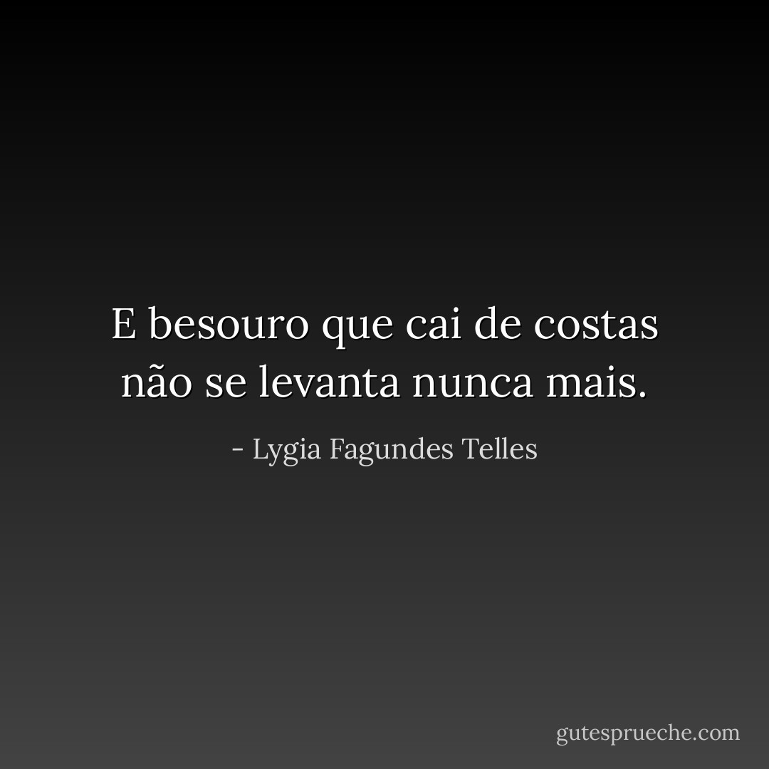 E besouro que cai de costas não se levanta nunca mais. - Lygia Fagundes Telles