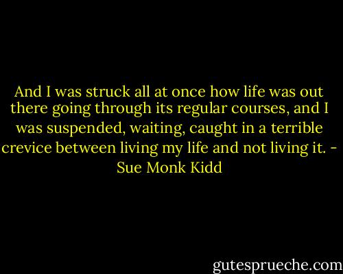 And I was struck all at once how life was out there going through its regular courses, and I was suspended, waiting, caught in a terrible crevice between living my life and not living it. - Sue Monk Kidd