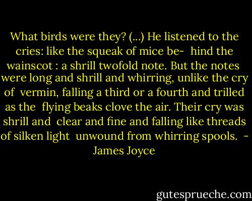 What birds were they? (...) He listened to the cries: like the squeak of mice be- <br />hind the wainscot : a shrill twofold note. But the notes <br />were long and shrill and whirring, unlike the cry of <br />vermin, falling a third or a fourth and trilled as the <br />flying beaks clove the air. Their cry was shrill and <br />clear and fine and falling like threads of silken light <br />unwound from whirring spools.  - James Joyce