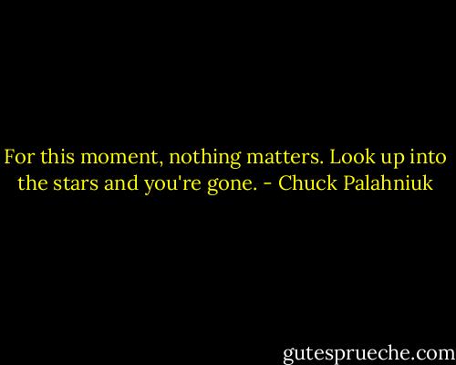 For this moment, nothing matters. Look up into the stars and you're gone. - Chuck Palahniuk