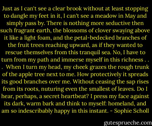 Just as I can't see a clear brook without at least stopping to dangle my feet in it, I can't see a meadow in May and simply pass by. There is nothing more seductive then such fragrant earth, the blossoms of clover swaying above it like a light foam, and the petal-bedecked branches of the fruit trees reaching upward, as if they wanted to rescue themselves from this tranquil sea. No, I have to turn from my path and immerse myself in this richness . . . <br />When I turn my head, my cheek grazes the rough trunk of the apple tree next to me. How protectively it spreads its good branches over me. Without ceasing the sap rises from its roots, nuturing even the smallest of leaves. Do I hear, perhaps, a secret heartbeat? I press my face against its dark, warm bark and think to myself: homeland, and am so indescribably happy in this instant. - Sophie Scholl