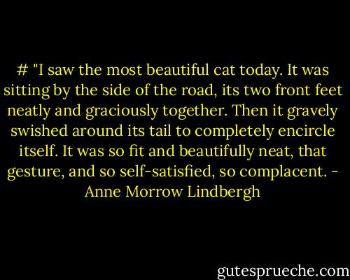 # "I saw the most beautiful cat today. It was sitting by the side of the road, its two front feet neatly and graciously together. Then it gravely swished around its tail to completely encircle itself. It was so fit and beautifully neat, that gesture, and so self-satisfied, so complacent. - Anne Morrow Lindbergh