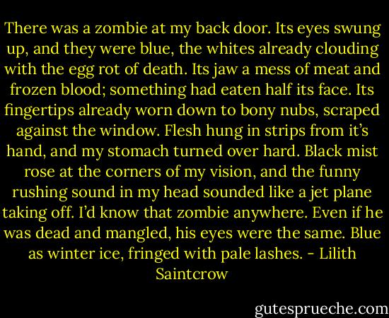 There was a zombie at my back door. Its eyes swung up, and they were blue, the whites already clouding with the egg rot of death. Its jaw a mess of meat and frozen blood; something had eaten half its face. Its fingertips already worn down to bony nubs, scraped against the window. Flesh hung in strips from it’s hand, and my stomach turned over hard. Black mist rose at the corners of my vision, and the funny rushing sound in my head sounded like a jet plane taking off. I’d know that zombie anywhere. Even if he was dead and mangled, his eyes were the same. Blue as winter ice, fringed with pale lashes. - Lilith Saintcrow