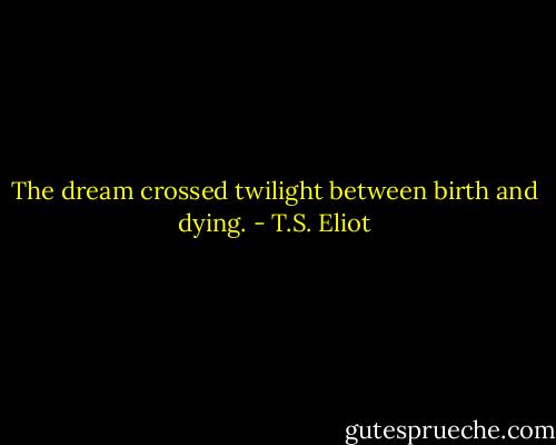 The dream crossed twilight between birth and dying. - T.S. Eliot