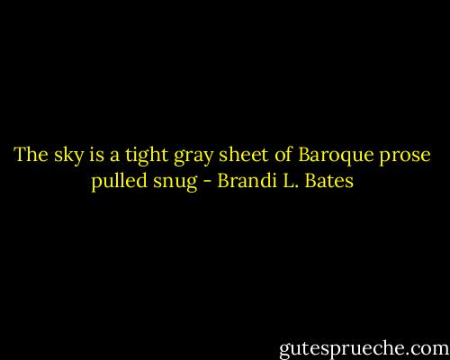 The sky is a tight gray sheet of Baroque prose pulled snug - Brandi L. Bates